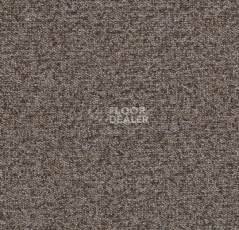 Ковровая плитка Forbo Tessera Basis 372 Seal фото 1 | FLOORDEALER